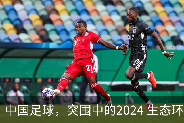 中国足球，突围中的2024 生态环境将实现好转